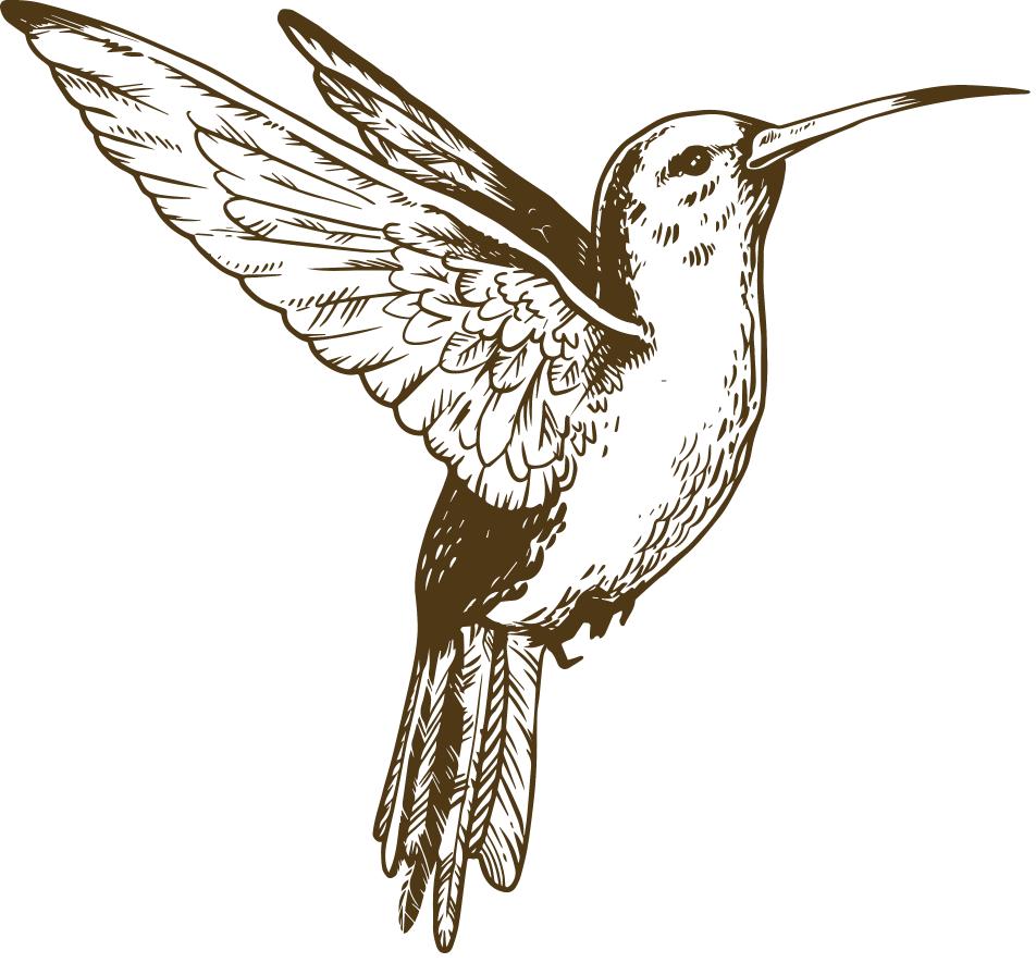 illustration d'un oiseau